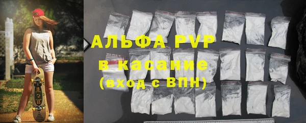 сатива Магас