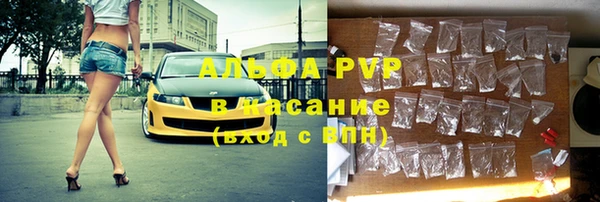 сатива Магас