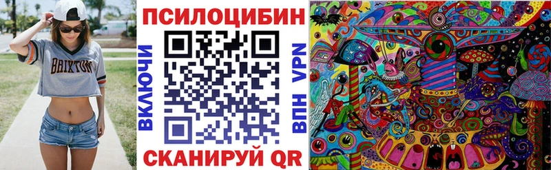 купить закладку  Сурск  Псилоцибиновые грибы Cubensis 
